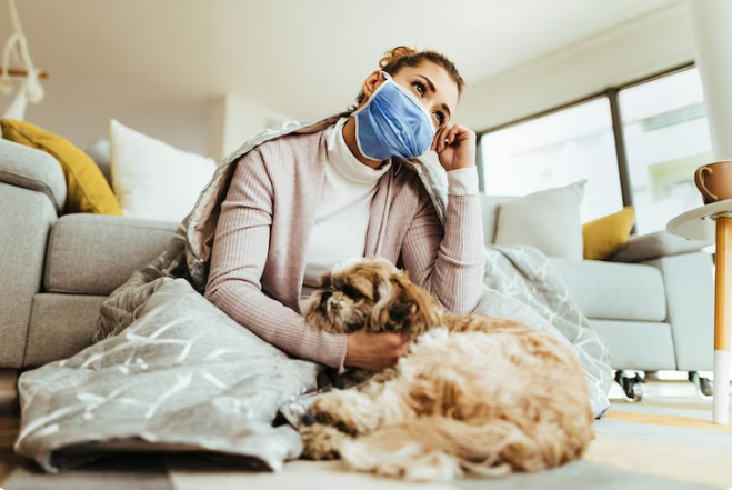 Foreign Body Blockages In Pets