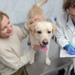 IV Fluids For Pets