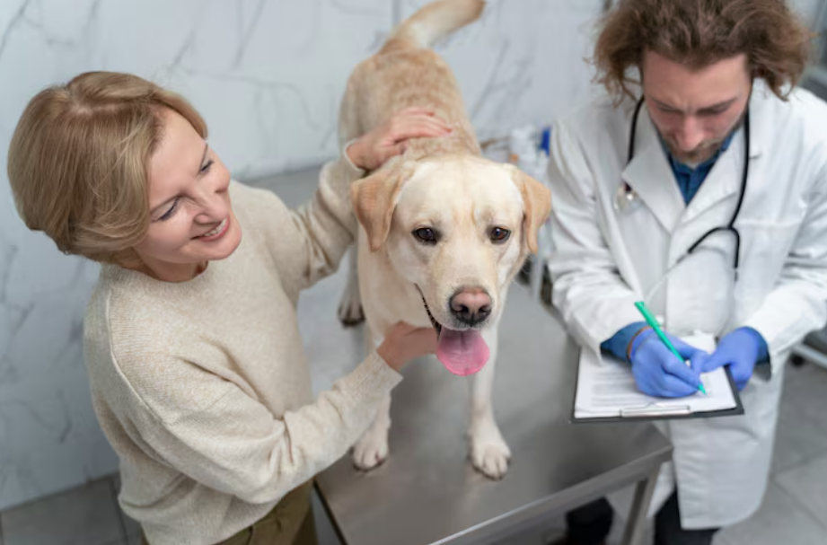 IV Fluids For Pets