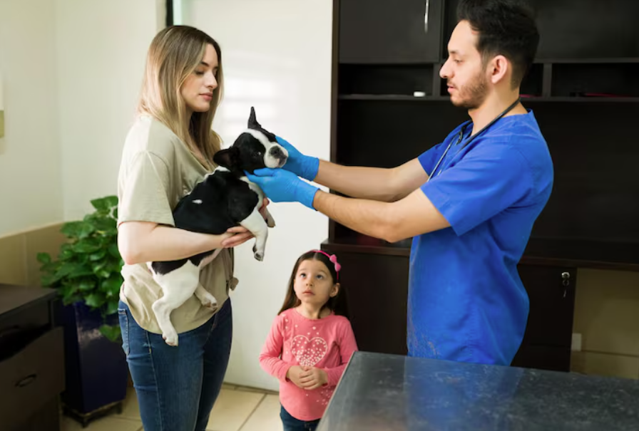 Veterinary Hospital