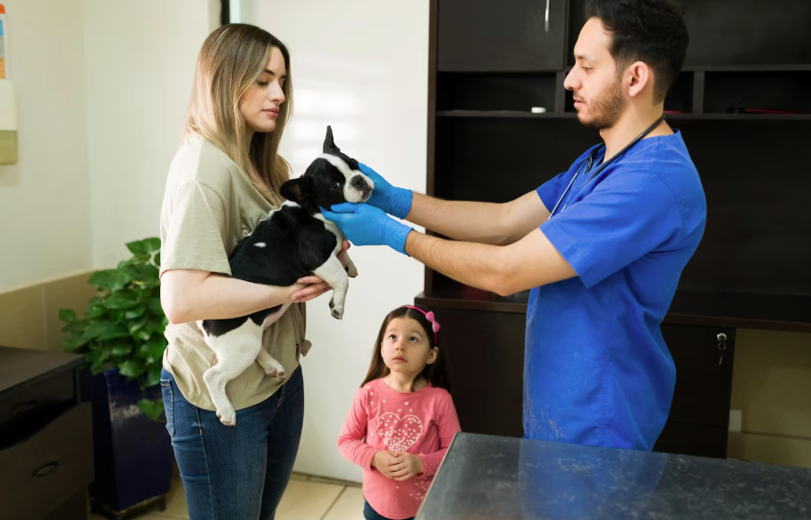 Life For Pets