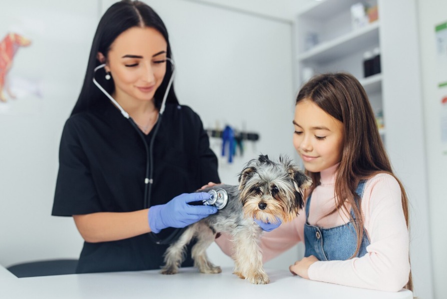Veterinary Services