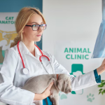 Animal Hospitals