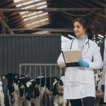 Animal Hospitals Offer Reproductive