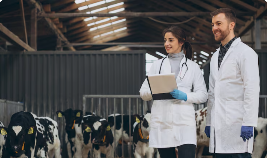 Animal Hospitals Offer Reproductive